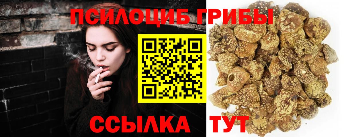 Псилоцибиновые грибы GOLDEN TEACHER Курчатов